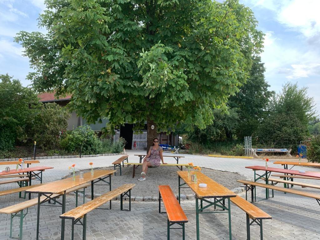 Reitschule Kronwitter Mainbernheim Εξωτερικό φωτογραφία