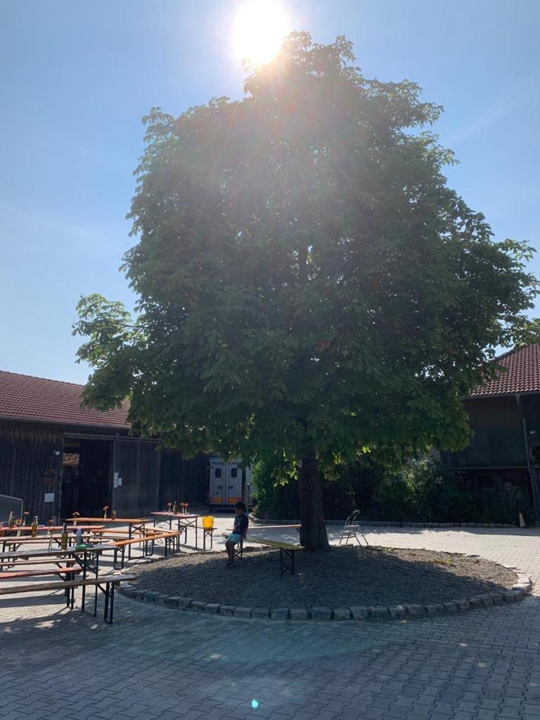 Reitschule Kronwitter Mainbernheim Εξωτερικό φωτογραφία